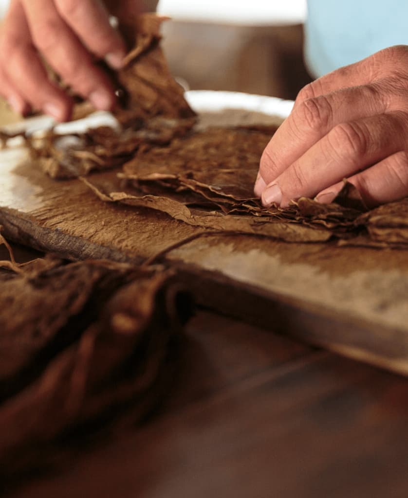 Hand rolling premium wrap leaf